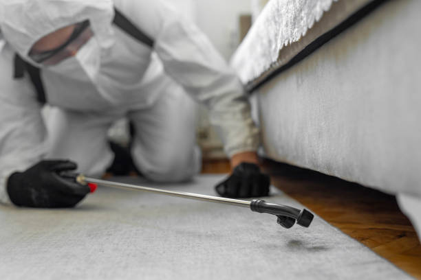 Professional Bed Bug Control technician working in Roeland Park, KS